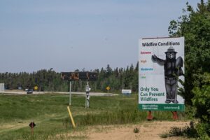 Auditor to investigate Saskatchewan Public Safety Agency’s wildfire preparedness Image