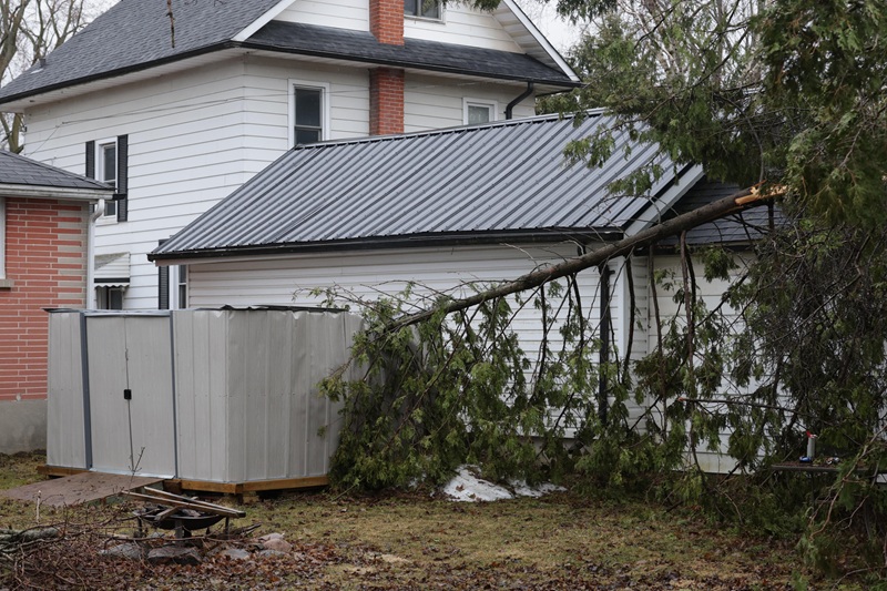 Severe weather damage from the March 2025 ice storm in Peterborough, Ont.