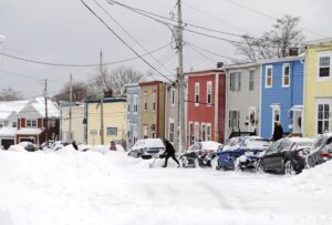First winter storm of 2026 shuts down much of Newfoundland and Labrador’s capital Image