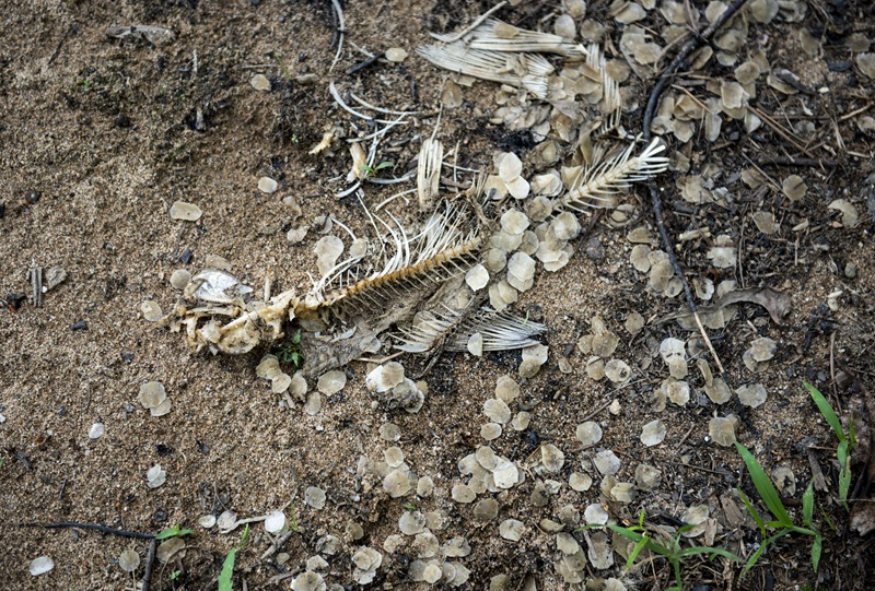 A chemical manufacturing plant in western Quebec has been fined $1.4 million