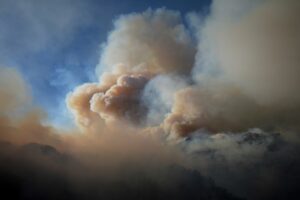 Wildfire pollution tied to tens of thousands of deaths in the U.S. annually: study Image