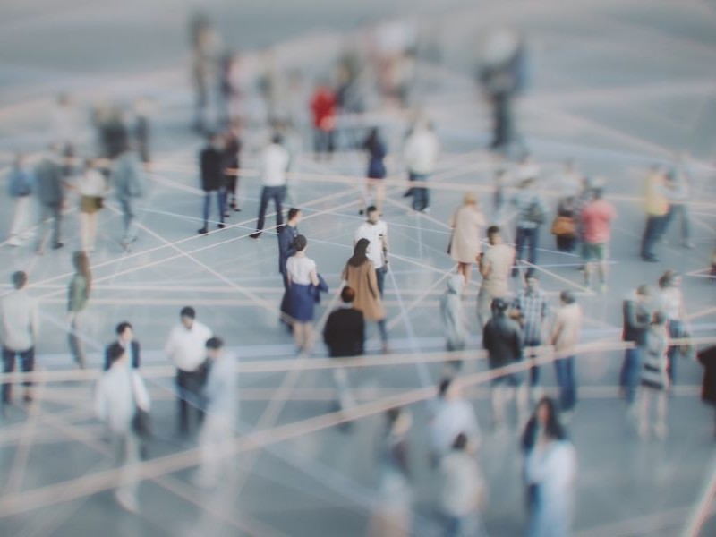 Web of business team members