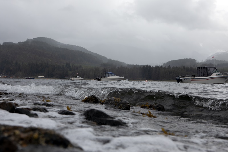 Boats are seen along the Alberni Inlet, looking towards Mount Underwood south of Port Alberni, B.C., on Saturday, Aug. 16, 2025. THE CANADIAN PRESS/Chad Hipolito