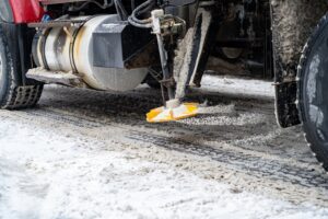 Road salt overuse is choking Peel’s water — a salt-loving plant could be the solution Image