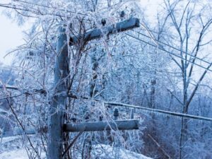 Toll from Quebec and Ontario ice storms…so far Image